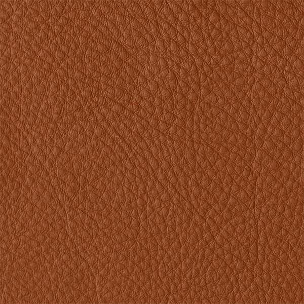 Leather Elmosoft