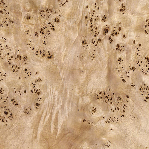 Mappa Burl