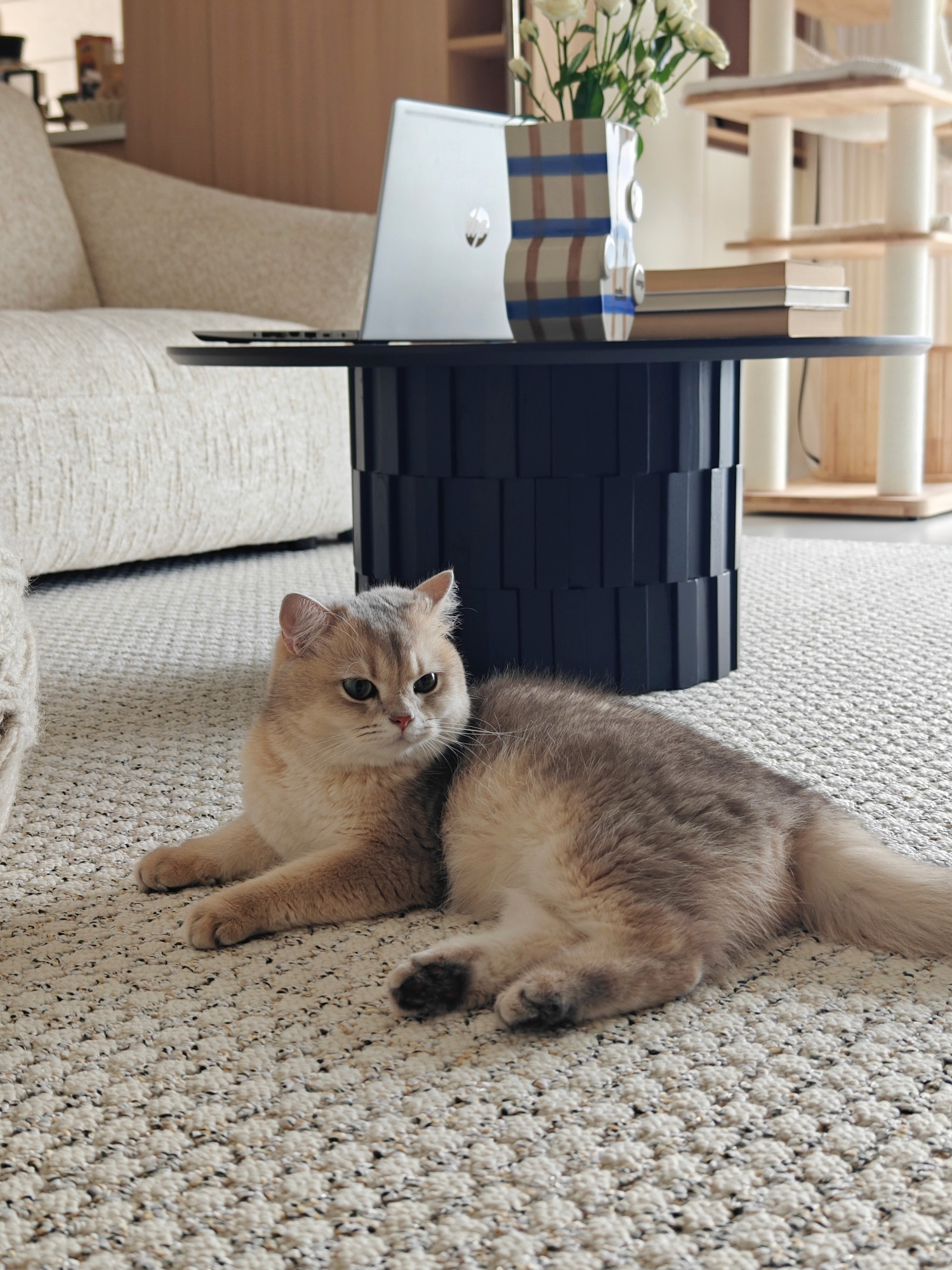 Gewen Coffee Table - Image 12