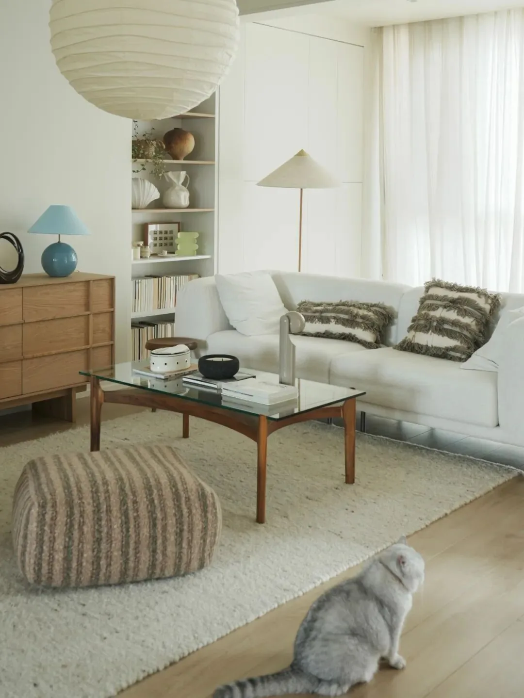 A Home Shared with Cats 17 Cat walking through a bright living room with a glass coffee table