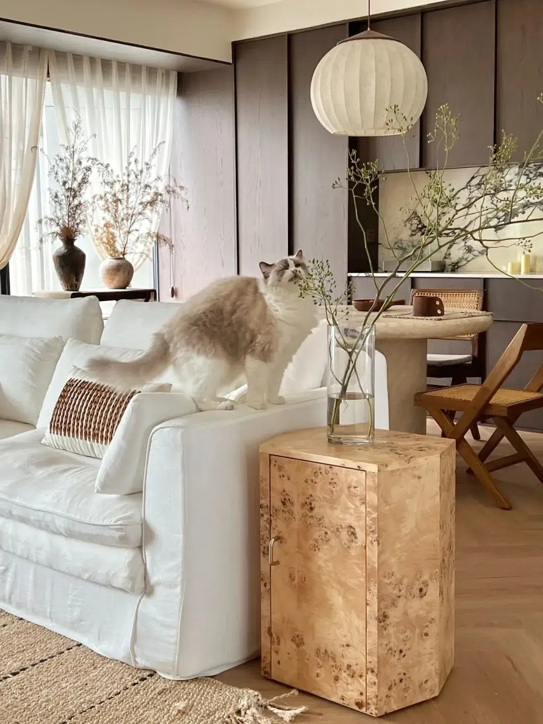 A Home Shared with Cats 20 Cat moving between a sofa and a compact side table