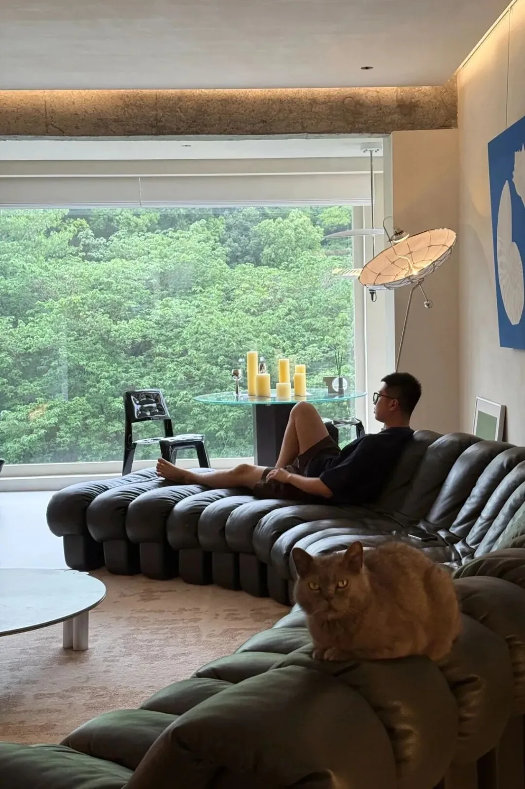 A Home Shared with Cats 16 Person and cats sharing a window-side lounge area